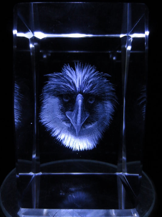 3D Crystal Laser Engraved Block – Eagle (I)