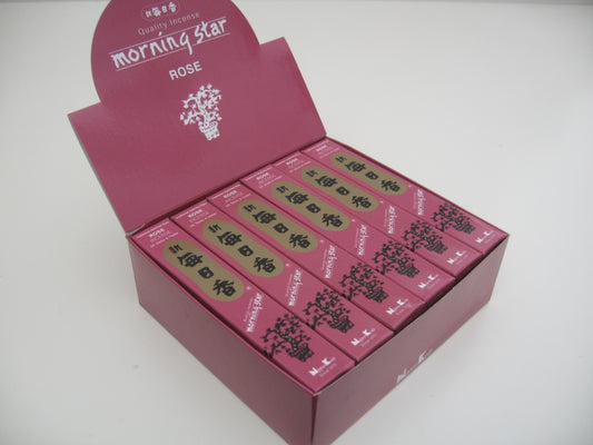Morning Star - Rose (box)