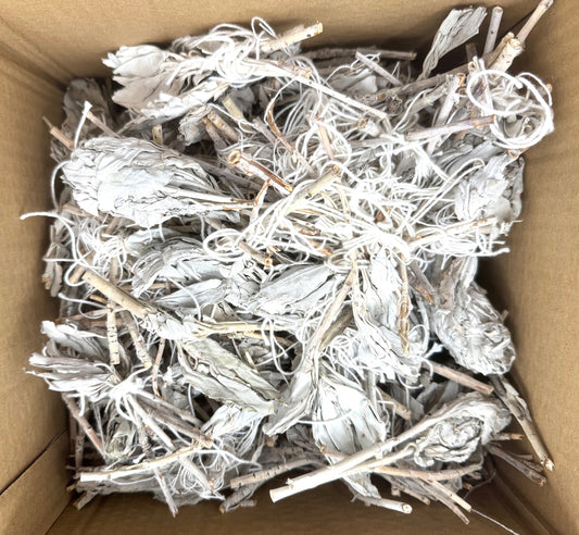 White Sage Tulip Loss (500g)