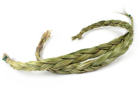 Sweetgrass AA Quality  60-70 cm