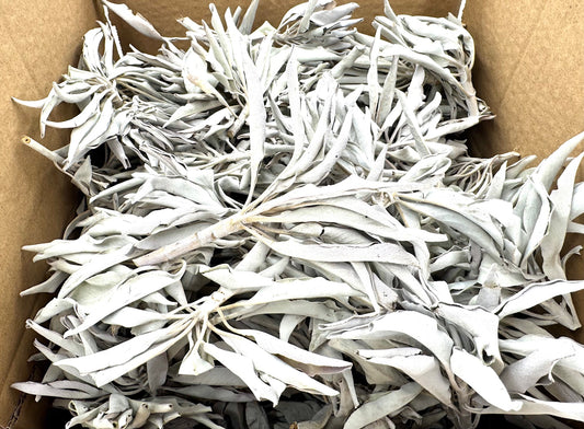 Wholesale - White Sage Cluster AA Quality - (1000g)