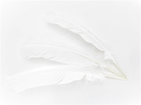 Witte Salie Smudge Veer wit (3 stuks)  - groothandel