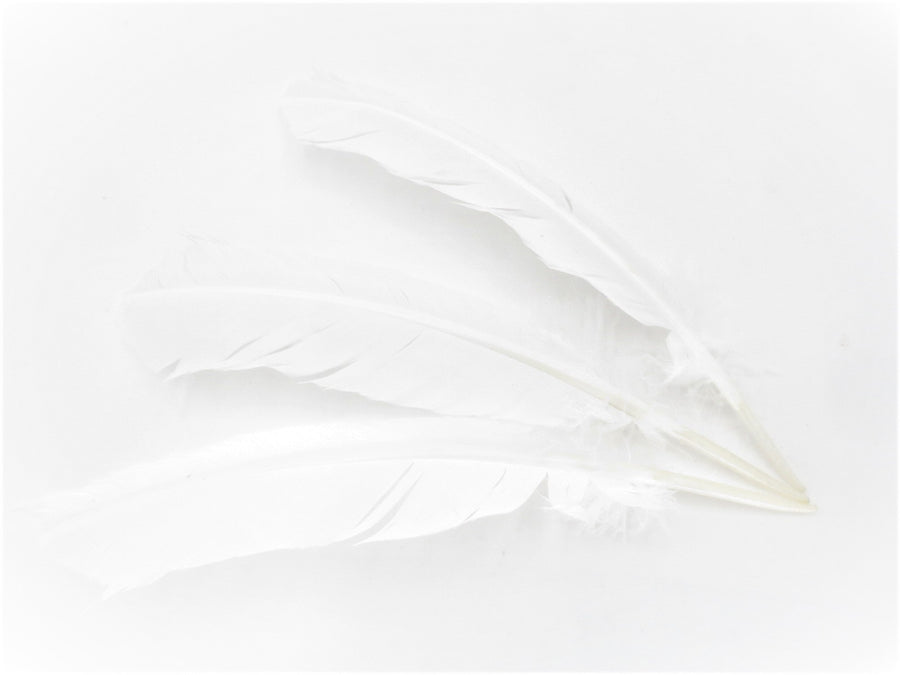 Witte Salie Smudge Veer wit (3 stuks)  - groothandel