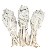 White Sage Tulip (3 x 20-25g)