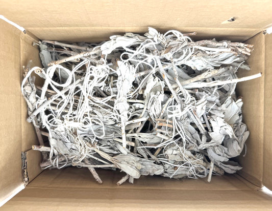 White Sage Tulip Loss (500g)